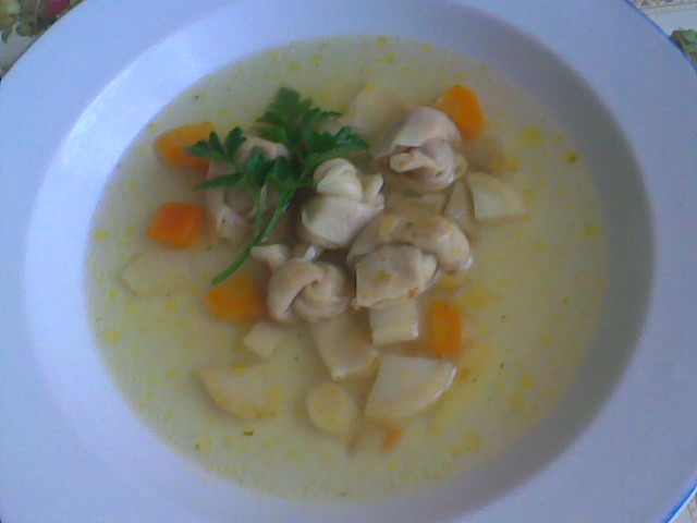 Kötött tészta leves
